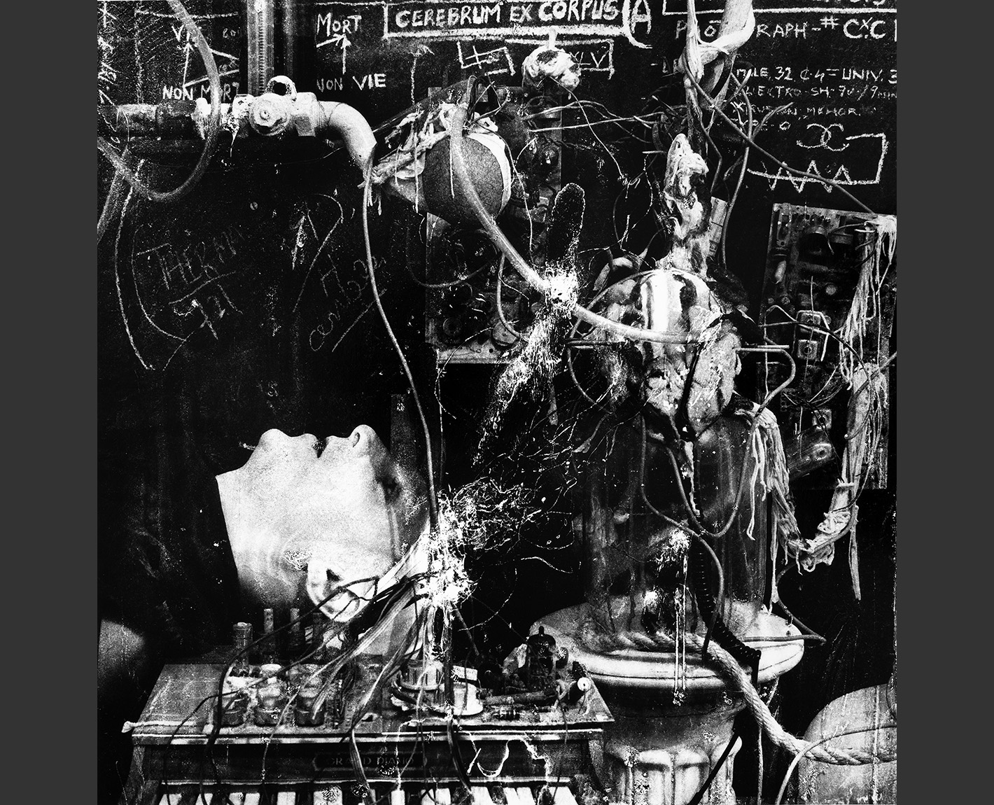 Head Studies, Paul Lowry